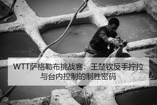 WTT萨格勒布挑战赛：王楚钦反手拧拉与台内控制的制胜密码